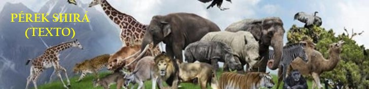 pérek shirá texto